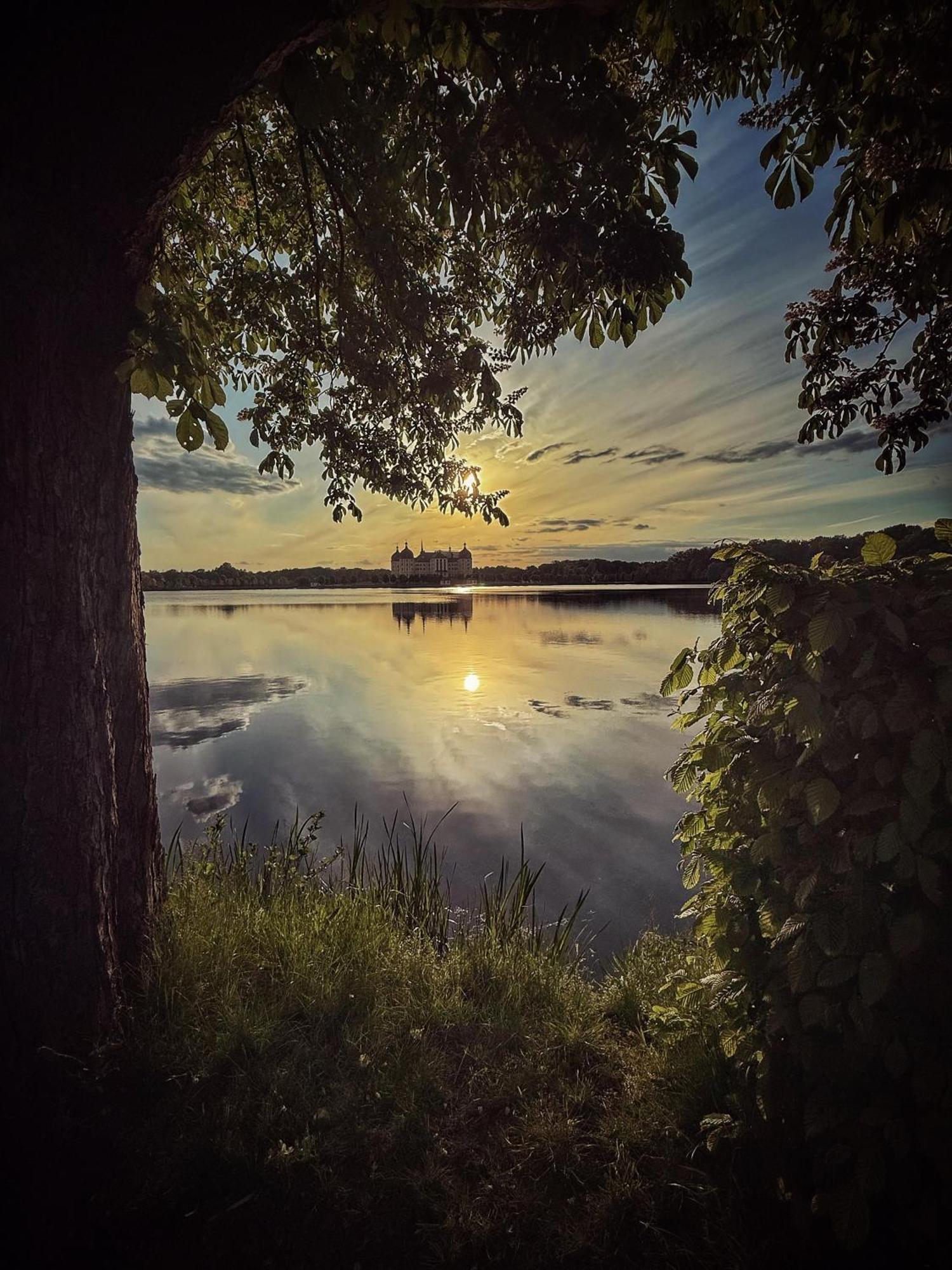 Churfuerstliche Waldschaenke Moritzburg Buitenkant foto